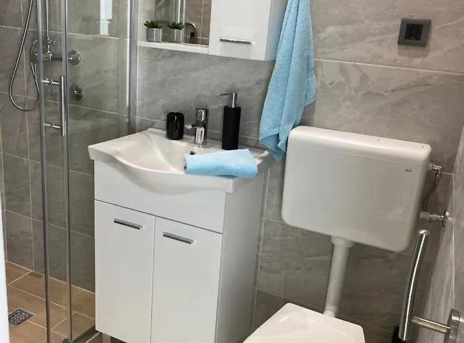 Apartman Song Of Joys